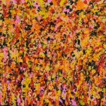 daniel-haas 11