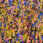 daniel-haas 17