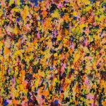 daniel-haas 6