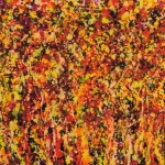 daniel-haas 7