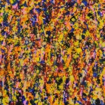 daniel-haas 8
