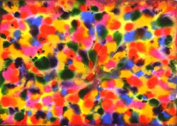 daniel-haas-18