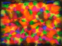daniel-haas-36