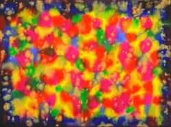 daniel-haas-37