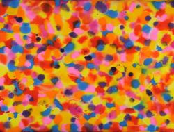 daniel-haas-8