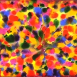 daniel-haas-18