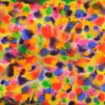daniel-haas-2