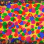 daniel-haas-34