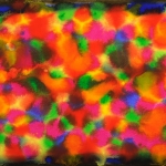 daniel-haas-36