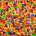 daniel-haas-5