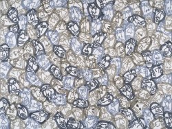 01 | felt marker on paper | 18x24