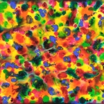 daniel-haas-9