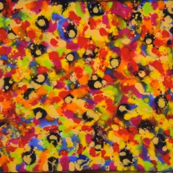 daniel-haas-1