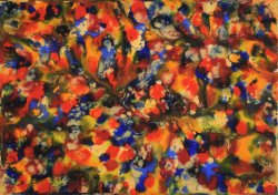 daniel-haas-23