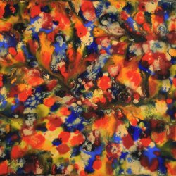 daniel-haas-23