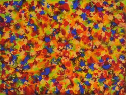 daniel-haas-29