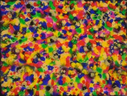 daniel-haas-3
