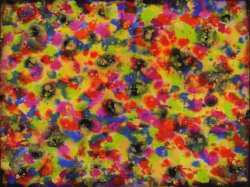 daniel-haas-4