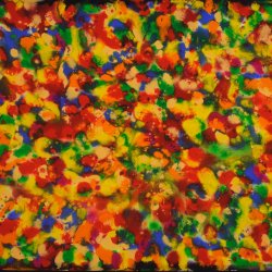 daniel-haas-5