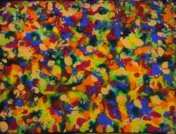 daniel-haas-6