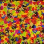 daniel-haas-22