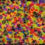 daniel-haas-4