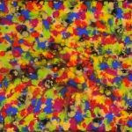 daniel-haas-9