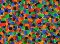daniel-haas-Danny-Haas-Art-56 1