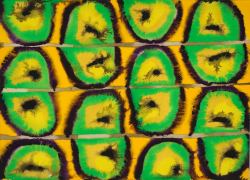 daniel-haas-Danny-Haas-Art-133 24