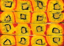 daniel-haas-Danny-Haas-Art-40 3