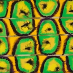 daniel-haas-Danny-Haas-Art-133 24