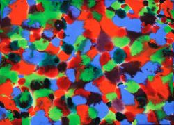 daniel-haas-Danny-Haas-Art-52 8