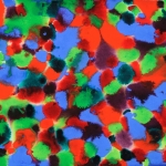 daniel-haas-Danny-Haas-Art-52 8